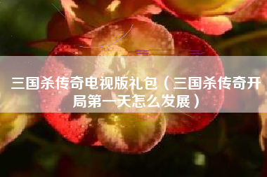 三国杀传奇电视版礼包（三国杀传奇开局第一天怎么发展）