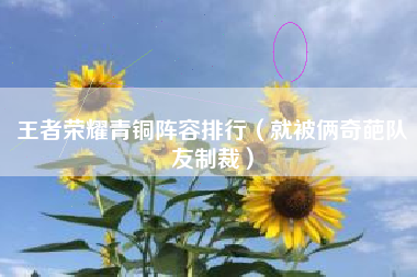 王者荣耀青铜阵容排行（就被俩奇葩队友制裁）