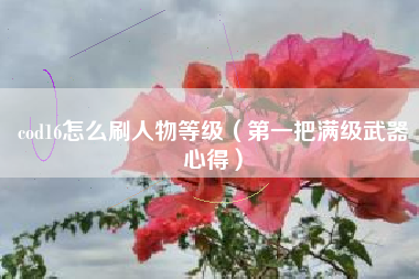 cod16怎么刷人物等级（第一把满级武器心得）