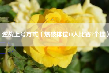 逆战上号方式（爆破排位10人比赛7个挂）
