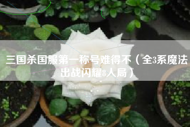 三国杀国服第一称号难得不（全3系魔法出战闪耀8人局）