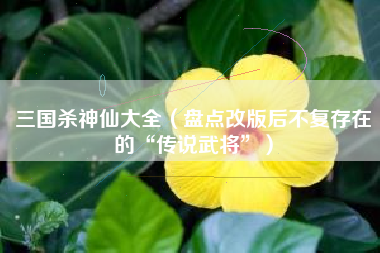 三国杀神仙大全（盘点改版后不复存在的“传说武将”）