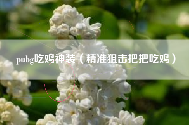 pubg吃鸡神装（精准狙击把把吃鸡）
