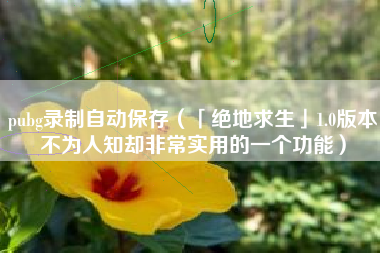 pubg录制自动保存（「绝地求生」1.0版本不为人知却非常实用的一个功能）