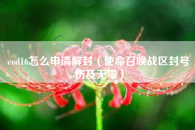 cod16怎么申请解封（使命召唤战区封号伤及无辜）