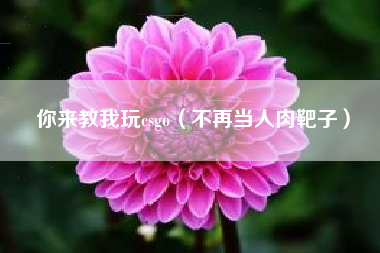你来教我玩csgo（不再当人肉靶子）