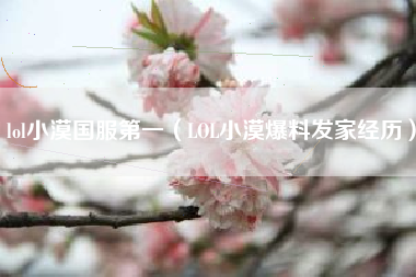 lol小漠国服第一（LOL小漠爆料发家经历）