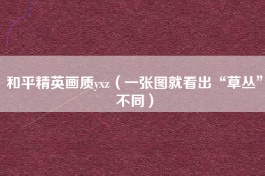 和平精英画质yxz（一张图就看出“草丛”不同）