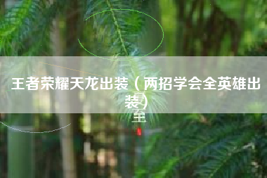 王者荣耀天龙出装（两招学会全英雄出装）