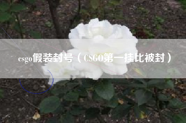 csgo假装封号（CSGO第一挂比被封）