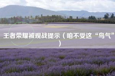 王者荣耀被观战提示（咱不受这“鸟气”）