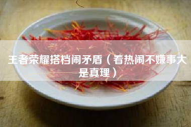 王者荣耀搭档闹矛盾（看热闹不嫌事大是真理）