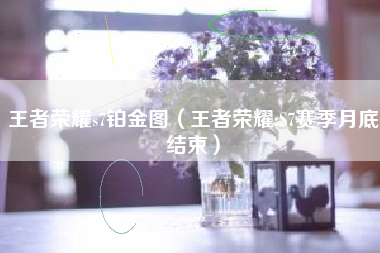 王者荣耀s7铂金图（王者荣耀:S7赛季月底结束）
