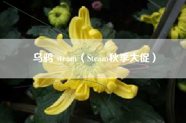 乌鸦 steam（Steam秋季大促）
