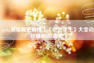 pubg新版握把属性（《绝地求生》大变动:新增加3款握把）