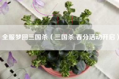 全服梦回三国杀（三国杀:春分活动开启）