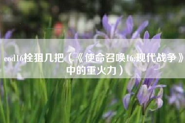 cod16栓狙几把（《使命召唤16:现代战争》中的重火力）