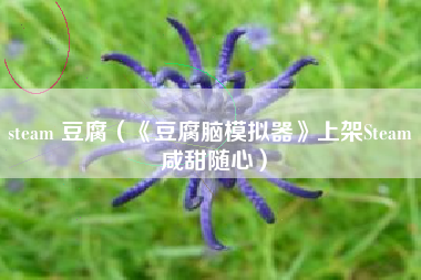 steam 豆腐（《豆腐脑模拟器》上架Steam 咸甜随心）