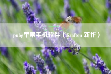 pubg苹果手机软件（Krafton 新作）