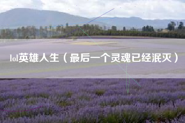 lol英雄人生（最后一个灵魂已经泯灭）