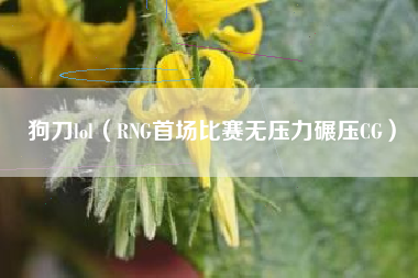 狗刀lol（RNG首场比赛无压力碾压CG）