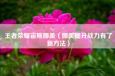 王者荣耀宙斯娜美（娜美提升战力有了新方法）