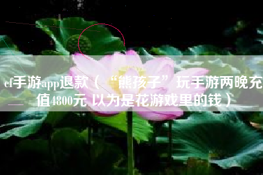 cf手游app退款（“熊孩子”玩手游两晚充值4800元 以为是花游戏里的钱）