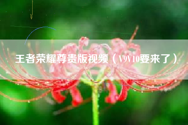 王者荣耀尊贵版视频（V9V10要来了）