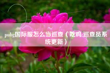 pubg国际服怎么当巡查（吃鸡:巡查员系统更新）