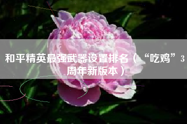 和平精英最强武器设置排名（“吃鸡”3周年新版本）
