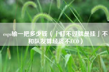 csgo输一把多少钱（「打不过就是挂」不和队友算经济不ECO）