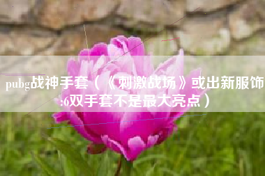 pubg战神手套（《刺激战场》或出新服饰:6双手套不是最大亮点）