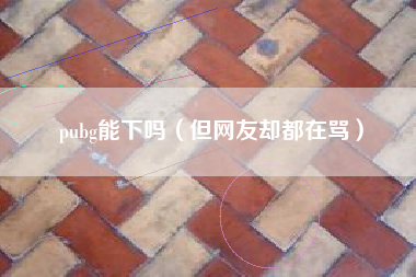 pubg能下吗（但网友却都在骂）