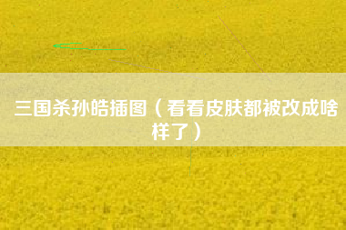 三国杀孙皓插图（看看皮肤都被改成啥样了）
