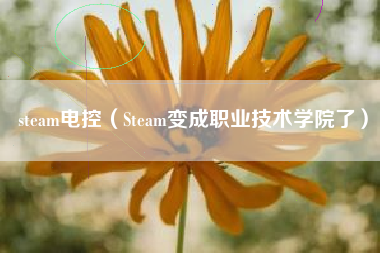 steam电控（Steam变成职业技术学院了）