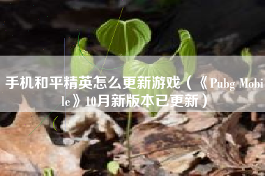 手机和平精英怎么更新游戏（《Pubg Mobile》10月新版本已更新）