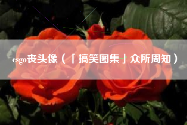 csgo丧头像（「搞笑图集」众所周知）