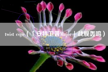 twist csgo（「安特卫普Major」战舰轰鸣）