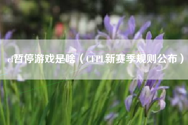 cf暂停游戏是啥（CFPL新赛季规则公布）