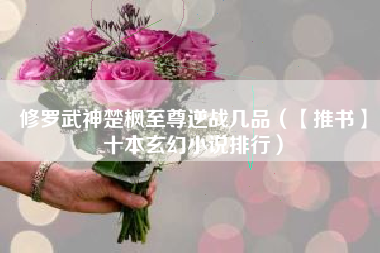 修罗武神楚枫至尊逆战几品（【推书】十本玄幻小说排行）