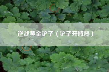 逆战黄金铲子（铲子开瓶器）