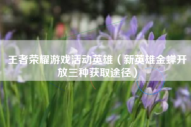 王者荣耀游戏活动英雄（新英雄金蝉开放三种获取途径）