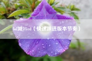 lol减5%cd（快速跟进版本节奏）
