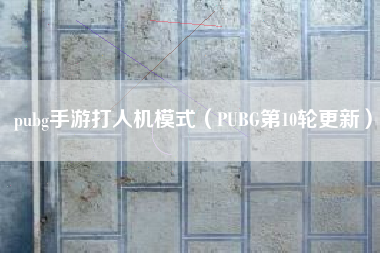 pubg手游打人机模式（PUBG第10轮更新）