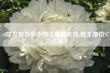cf排位前百多少钱（穿越火线:枪王排位S7已结束）