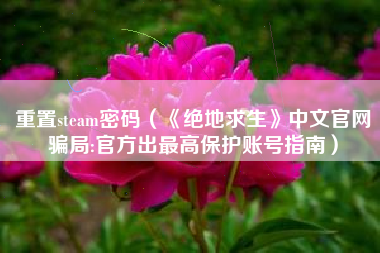重置steam密码（《绝地求生》中文官网骗局:官方出最高保护账号指南）