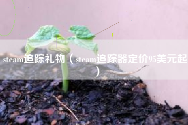steam追踪礼物（steam追踪器定价95美元起）