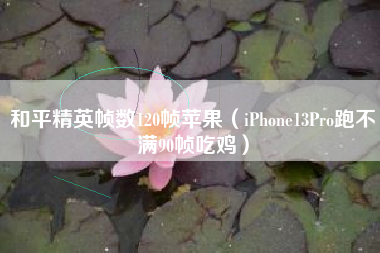 和平精英帧数120帧苹果（iPhone13Pro跑不满90帧吃鸡）