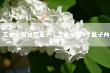 王者荣耀官方盒子（王者荣耀:5个盒子两皮肤）