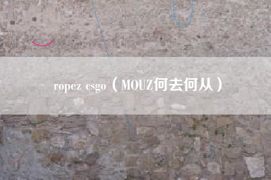 ropez csgo（MOUZ何去何从）